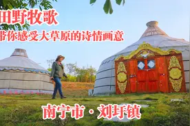南宁刘圩镇田野牧歌：肉牛产业示范区 带你感受大草原的诗情画意视频封面
