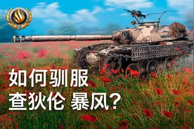 如何驯服查狄伦 暴风？