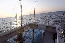 黑鲔鱼殊死战第九季：船队停市日给鱼打标签，准备在未来收获更多