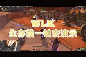 魔兽世界一键宏视频封面