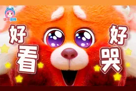 谁不喜欢小熊猫！全女性视角女性团队《青春变形记》安利【哇妹】视频封面