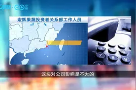 葱姜价格大涨下宏辉果蔬两连板 公司称蔬菜收入占比小