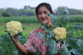 农村女孩下厨，新鲜的西兰花炒出了新高度，看饿了视频封面