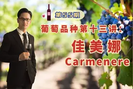 智利红酒国宝级品种佳美娜，在中国叫蛇龙珠，这6个酒庄推荐给你视频封面