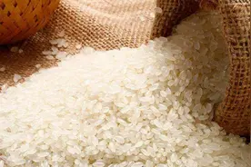 大米放在冰箱保存到底好不好？多亏米店老板告诫，越早清楚越受益视频封面