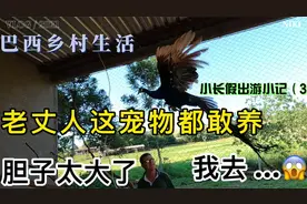 老丈人宠物高大上，女婿干农活，老丈人直呼：中国女婿有力！视频封面