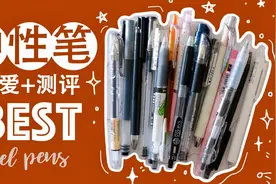 这几年最喜欢的中性笔都在这了 16支好用热门黑笔全测评 耐水速干视频封面