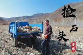 凭借夫妻两人之力30年硬是把2亩的石头堆 改造成14亩良田