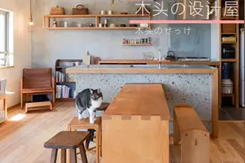 65平米，一间卧室，一只猫，你的日式原木宅！