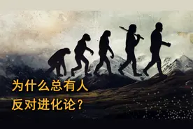 为什么有些人总是反对进化论，反而相信没有证据的神创论？视频封面