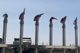 奇葩！江苏一妈妈将爸爸钓上来的鱼，插在大门护栏上晾晒