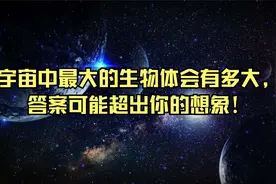宇宙中最大的生物体会有多大，答案可能超出你的想象！视频封面