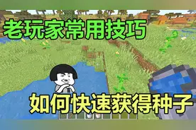 我的世界：老玩家常用的4个小技巧，巧用水桶可以快速获得种子。
