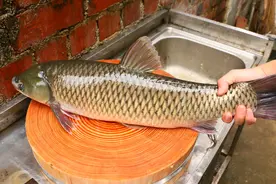 正宗地道的横县生鱼片，配料和做法都教给你，想吃在家就能做