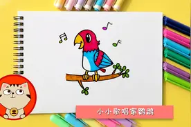 鹦鹉儿童简笔画教程，亲子轻松学画小小歌唱家鹦鹉