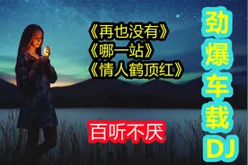 经典车载洗脑神曲《再也没有》《哪一站》《情人鹤顶红》百听不厌