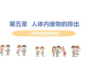 初中生物-七年级下册-第五章 人体废物的排出视频封面