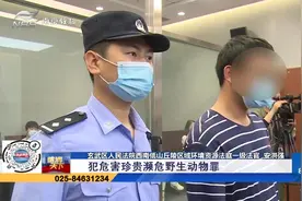 知法犯法！南京一护林员捕杀野生动物获刑2年 详情来了解下视频封面