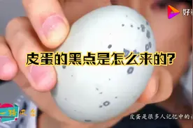 松花蛋为什么蛋壳会有黑点？