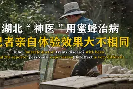 湖北“神医”用蜜蜂治病，记者不信亲自体验，结果效果大不相同视频封面