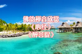 佛韵禅音欣赏《心经+醉菩提》照见五蕴皆空，度一切苦厄。视频封面