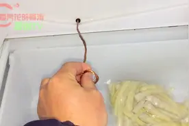 阿涛家冰箱保鲜层年年积水，半年前用1根电线彻底解决了，去看看视频封面