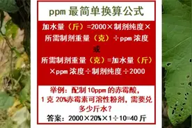 ppm很简单的换算公式