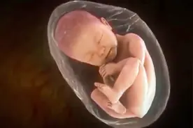 宝宝出生后发现“男翻女”，是怎么一回事？看完忍不住笑出声