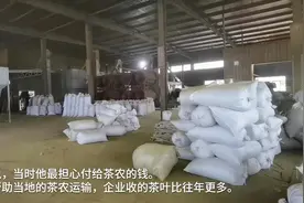 歙县积极恢复重建“3000吨茶叶被泡”茶企 诚邀各界人士去喝茶视频封面
