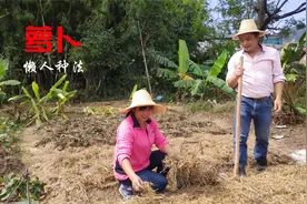 媳妇的懒人萝卜种植法，只要做好2点，萝卜个大，还不会有虫眼视频封面