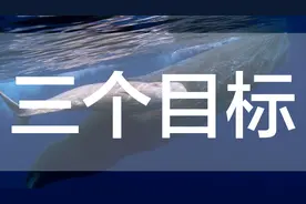 经验分享-3-服务极致化3个要点4分