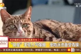 萌宠发烧友别错过！长沙宝藏小馆藏身南郊公园，明星宠物吸粉无数视频封面