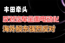 丰田牵头 反对汽车全面电动化 海外股东强烈反对视频封面