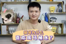 猫咪为什么喜欢喝马桶水？