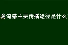 公务员考试题：禽流感的主要传播途径是什么视频封面
