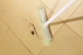 用拖鞋拍死母蜘蛛会怎样？网友：千万别拍死它，会原地爆炸视频封面