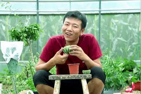 仙人球的“再生”能力真的很强大，哪怕切得只剩一点点，照样生根视频封面