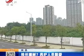 南昌：铁丝缠树？养护人员释疑视频封面