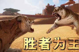 动物园之星08：孟加拉虎VS东北虎，这场史诗级决战，胜者为王！视频封面