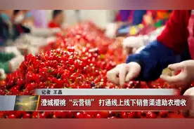 澄城樱桃“云营销”打通线上线下销售渠道助农增收视频封面
