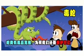 蛇类有毒且危险，为什么我们还要保护它们，而且保护的都是毒蛇？