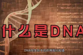 【科普】什么是DNA？有什么用？视频封面