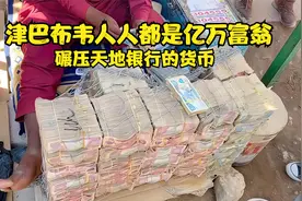 碾压天地银行的货币，津巴布韦纸币面额100亿视频封面