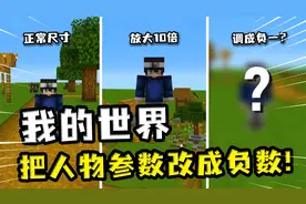 我的世界：把人物的相关参数变成负数，前进变倒退，下降变上升？