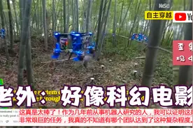 中国无人机群自主穿越竹林震惊老外！外国网友：像在看科幻电影！视频封面