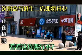 沈阳盒马鲜生二店即将登场，招聘很多员工，这待遇行不？视频封面