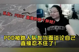 PDD玩CS GO被路人队友当面谈论自己，直接忍不住了！视频封面