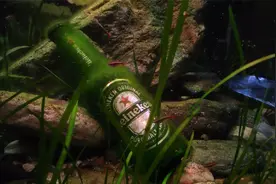 底滤鱼缸有这样一个配置，使用率并不高，送给准备定制鱼缸的朋友视频封面