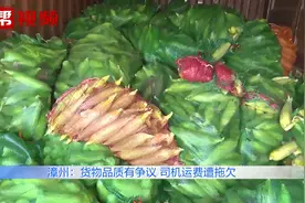 跨省运来18吨鲜玉米成“烫手山芋”，货物品质有争议，司机慌了视频封面