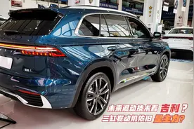 还是技术说了算！吉利雷神动力发布，热效率43.32% 三缸能否服众视频封面